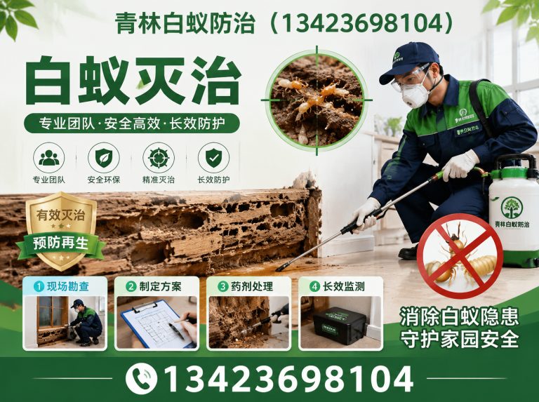 广州除白蚁展示图